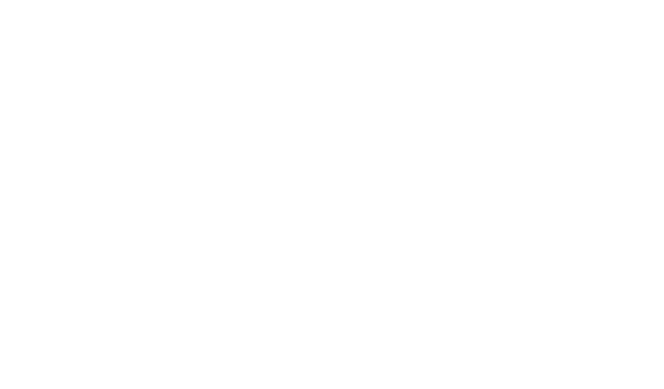 Balz Informatik